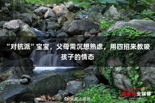 “对抗派”宝宝，父母需沉想熟虑，用四招来教唆孩子的情态