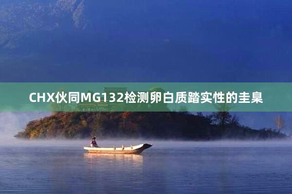 CHX伙同MG132检测卵白质踏实性的圭臬