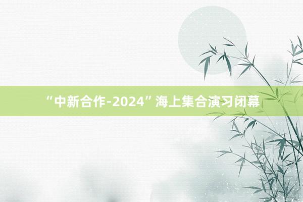 “中新合作-2024”海上集合演习闭幕