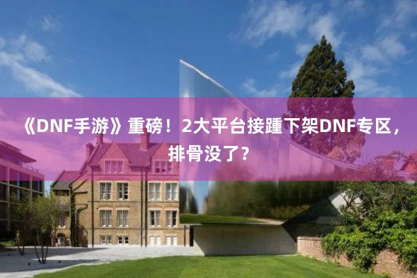 《DNF手游》重磅！2大平台接踵下架DNF专区，排骨没了？