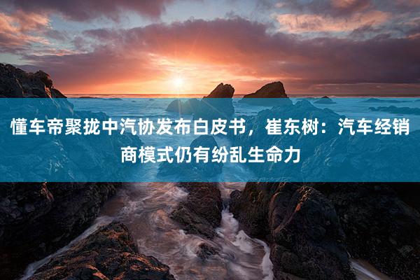 懂车帝聚拢中汽协发布白皮书，崔东树：汽车经销商模式仍有纷乱生命力