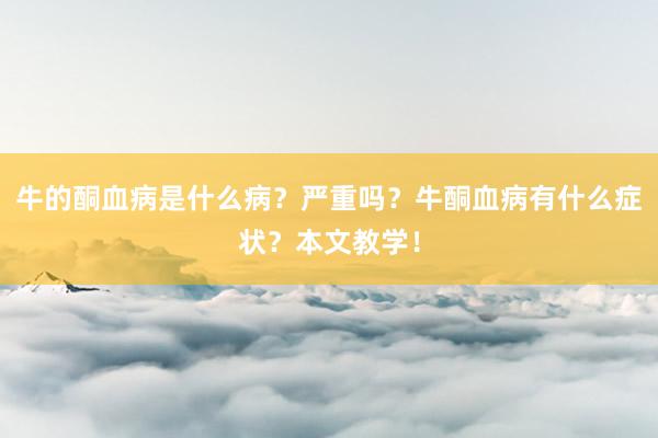 牛的酮血病是什么病？严重吗？牛酮血病有什么症状？本文教学！