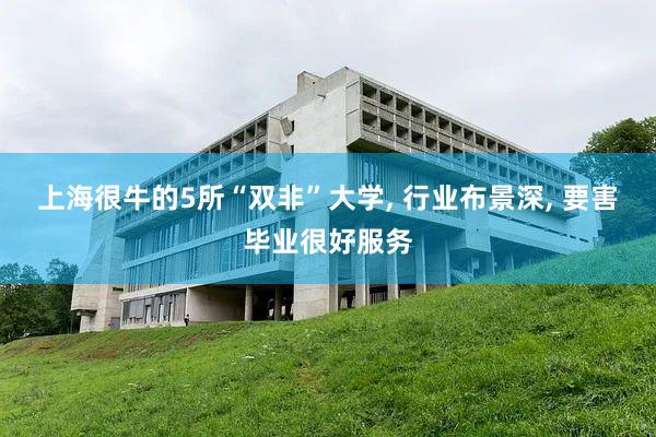 上海很牛的5所“双非”大学, 行业布景深, 要害毕业很好服务