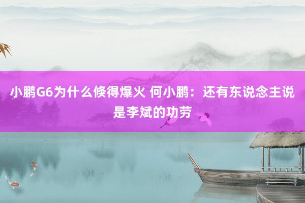 小鹏G6为什么倏得爆火 何小鹏：还有东说念主说是李斌的功劳