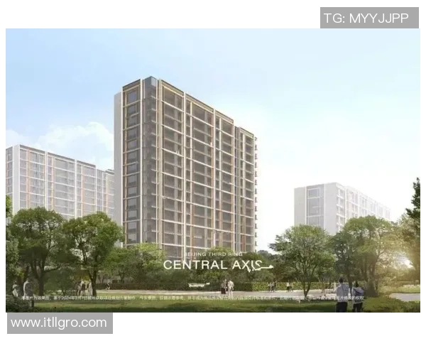 今日体育快讯：转会动态伤病更新战报全面解析